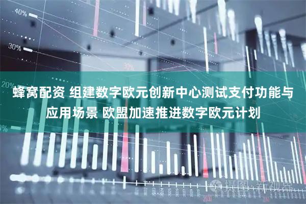 蜂窩配資 組建數字歐元創新中心測試支付功能與應用場景 歐盟加速推進數字歐元計劃